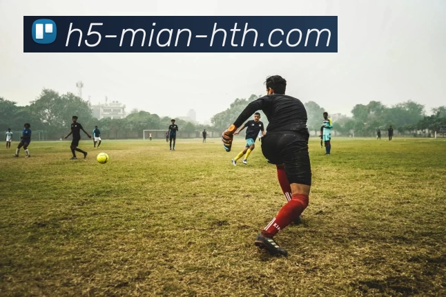 多媒体互动体验